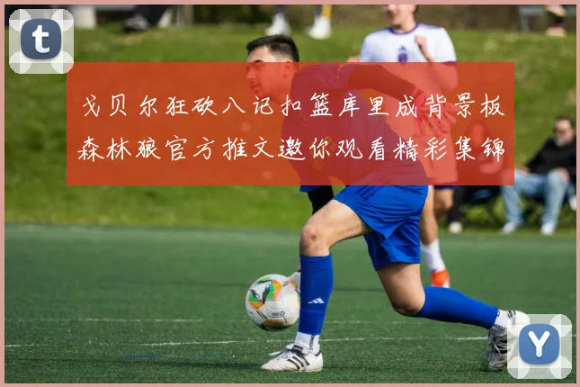 戈贝尔狂砍八记扣篮库里成背景板森林狼官方推文邀你观看精彩集锦